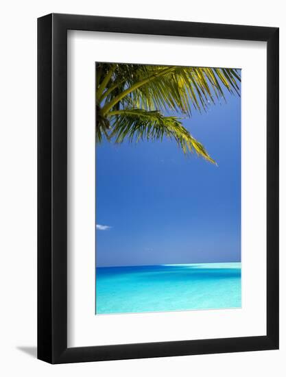 Shades of Blue and Palm Tree, Tropical Beach, Maldives, Indian Ocean, Asia-Sakis-Framed Photographic Print