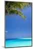 Shades of Blue and Palm Tree, Tropical Beach, Maldives, Indian Ocean, Asia-Sakis-Mounted Photographic Print