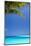 Shades of Blue and Palm Tree, Tropical Beach, Maldives, Indian Ocean, Asia-Sakis-Mounted Photographic Print