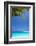 Shades of Blue and Palm Tree, Tropical Beach, Maldives, Indian Ocean, Asia-Sakis-Framed Photographic Print