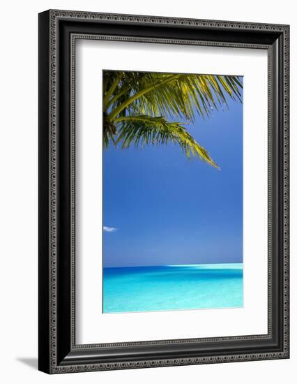 Shades of Blue and Palm Tree, Tropical Beach, Maldives, Indian Ocean, Asia-Sakis-Framed Photographic Print