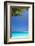 Shades of Blue and Palm Tree, Tropical Beach, Maldives, Indian Ocean, Asia-Sakis-Framed Photographic Print