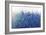 Shades Of Blue Wild Flowers-Tim O'toole-Framed Giclee Print