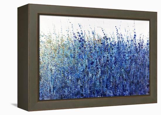 Shades Of Blue Wild Flowers-Tim O'toole-Framed Premier Image Canvas