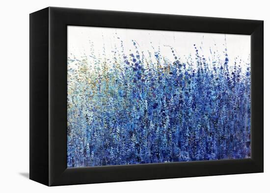 Shades Of Blue Wild Flowers-Tim O'toole-Framed Premier Image Canvas