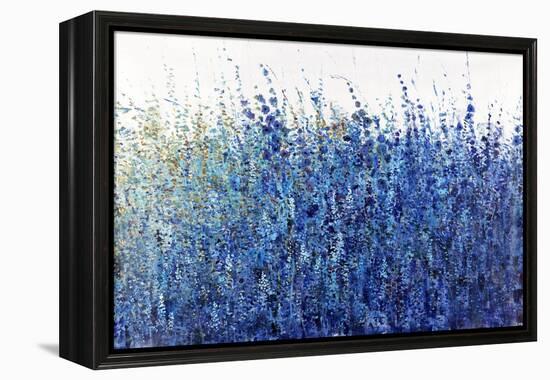 Shades Of Blue Wild Flowers-Tim O'toole-Framed Premier Image Canvas