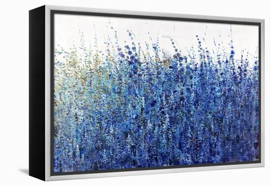 Shades Of Blue Wild Flowers-Tim O'toole-Framed Premier Image Canvas