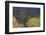 Shades of early Spring-Ken Archer-Framed Photographic Print