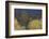 Shades of early Spring-Ken Archer-Framed Photographic Print