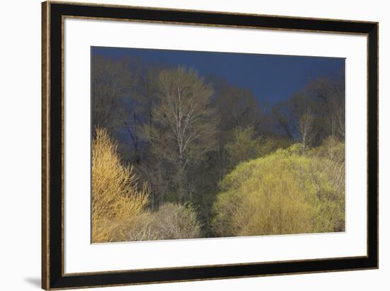 Shades of early Spring-Ken Archer-Framed Premium Photographic Print