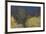 Shades of early Spring-Ken Archer-Framed Premium Photographic Print