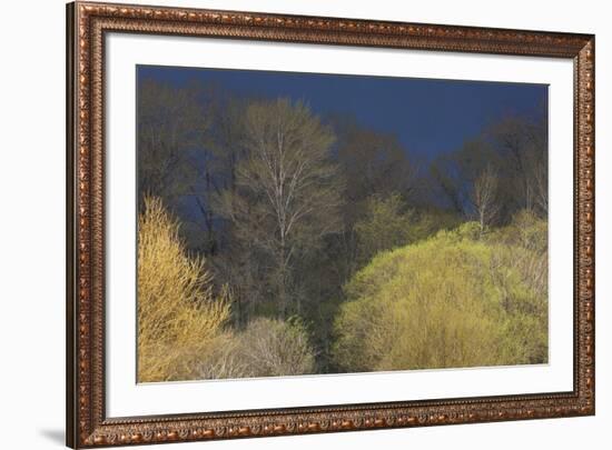 Shades of early Spring-Ken Archer-Framed Premium Photographic Print