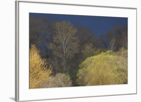 Shades of early Spring-Ken Archer-Framed Premium Photographic Print