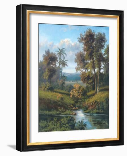 Shades of Evening-Montoya-Framed Art Print