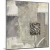 Shades Of Gray II-Lisa Audit-Mounted Giclee Print