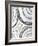 Shades of Gray II-Liz Jardine-Framed Art Print