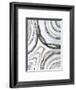 Shades of Gray II-Liz Jardine-Framed Art Print
