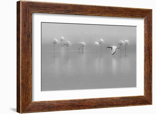 Shades Of Gray-Massimo Mei-Framed Giclee Print