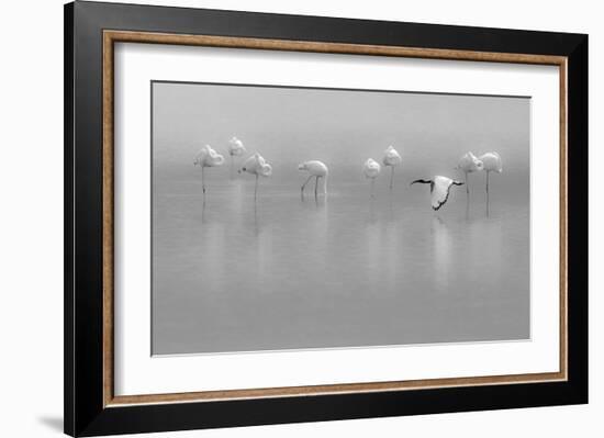 Shades Of Gray-Massimo Mei-Framed Giclee Print