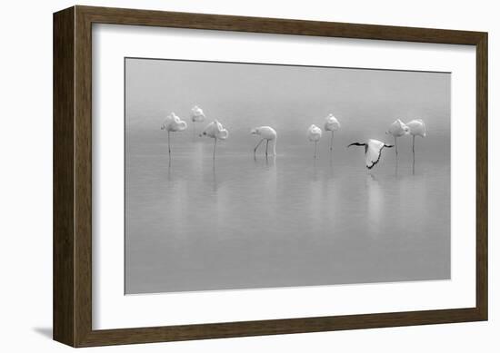 Shades Of Gray-Massimo Mei-Framed Giclee Print