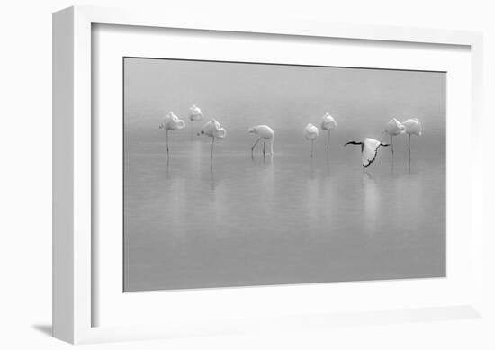 Shades Of Gray-Massimo Mei-Framed Giclee Print