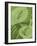 Shades of Green II-Alicia Ludwig-Framed Art Print