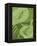 Shades of Green II-Alicia Ludwig-Framed Stretched Canvas