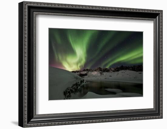 Shades of Green-Bragi Ingibergsson --Framed Photographic Print