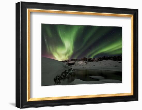 Shades of Green-Bragi Ingibergsson --Framed Photographic Print