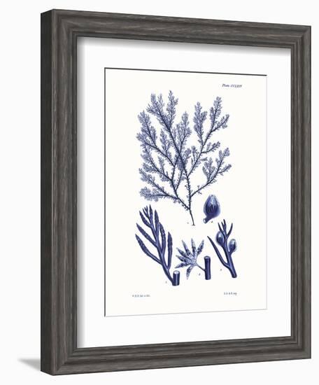 Shades of Indigo IV-Vision Studio-Framed Art Print