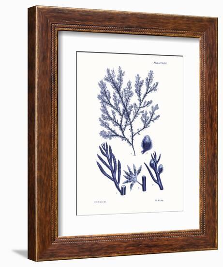 Shades of Indigo IV-Vision Studio-Framed Art Print