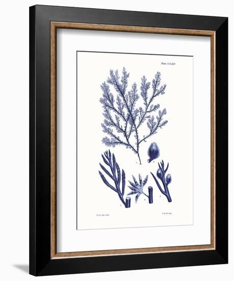 Shades of Indigo IV-Vision Studio-Framed Art Print