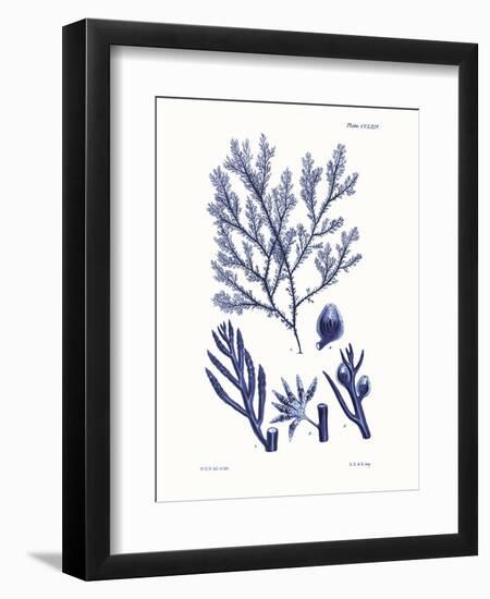 Shades of Indigo IV-Vision Studio-Framed Art Print