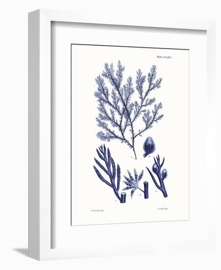 Shades of Indigo IV-Vision Studio-Framed Art Print