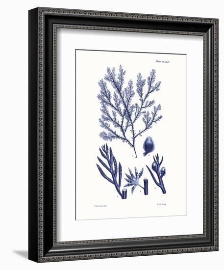 Shades of Indigo IV-Vision Studio-Framed Art Print