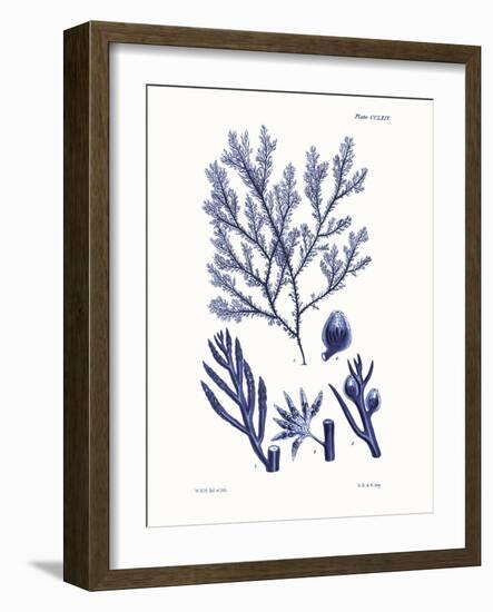 Shades of Indigo IV-Vision Studio-Framed Art Print