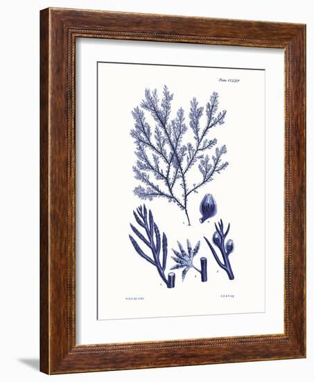 Shades of Indigo IV-Vision Studio-Framed Art Print