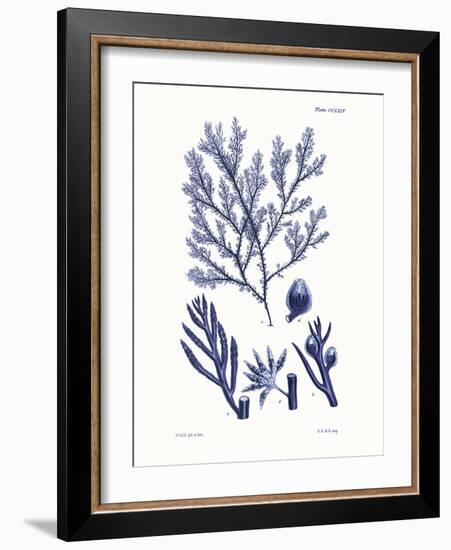 Shades of Indigo IV-Vision Studio-Framed Art Print