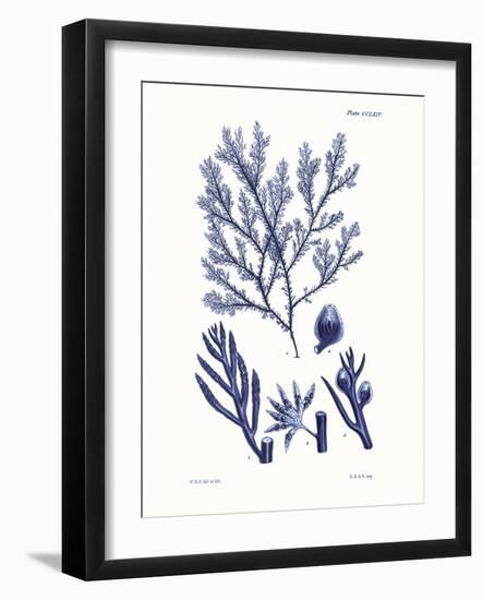 Shades of Indigo IV-Vision Studio-Framed Art Print