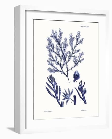 Shades of Indigo IV-Vision Studio-Framed Art Print