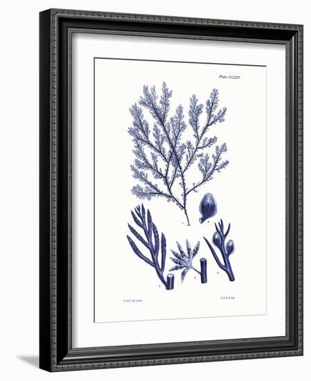 Shades of Indigo IV-Vision Studio-Framed Art Print