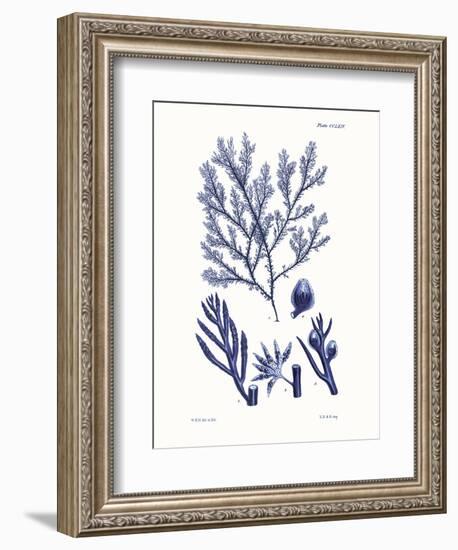 Shades of Indigo IV-Vision Studio-Framed Premium Giclee Print