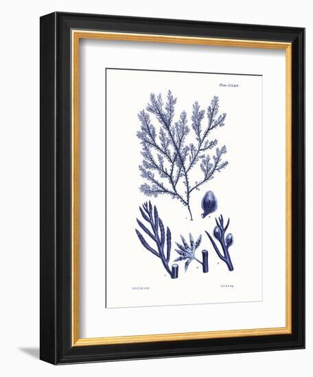 Shades of Indigo IV-Vision Studio-Framed Premium Giclee Print