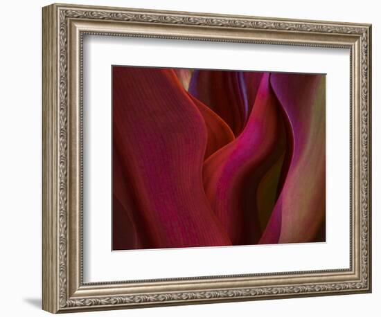 Shades of Maui in Spring-Robin Wechsler-Framed Giclee Print