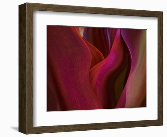 Shades of Maui in Spring-Robin Wechsler-Framed Giclee Print