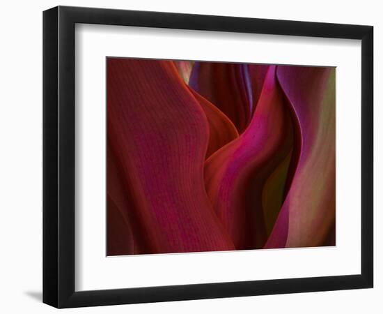 Shades of Maui in Spring-Robin Wechsler-Framed Giclee Print