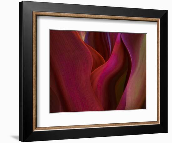 Shades of Maui in Spring-Robin Wechsler-Framed Giclee Print