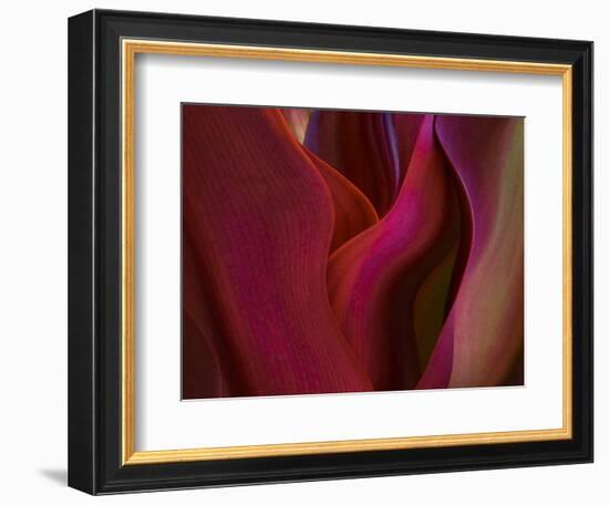 Shades of Maui in Spring-Robin Wechsler-Framed Giclee Print