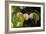 Shades of Nature 60-Gordon Semmens-Framed Photographic Print