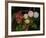 Shades of Nature 61-Gordon Semmens-Framed Photographic Print